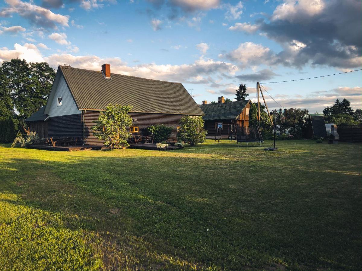 Viesu Nams Saknites Villa Dzerbene Exterior photo